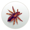 ico2